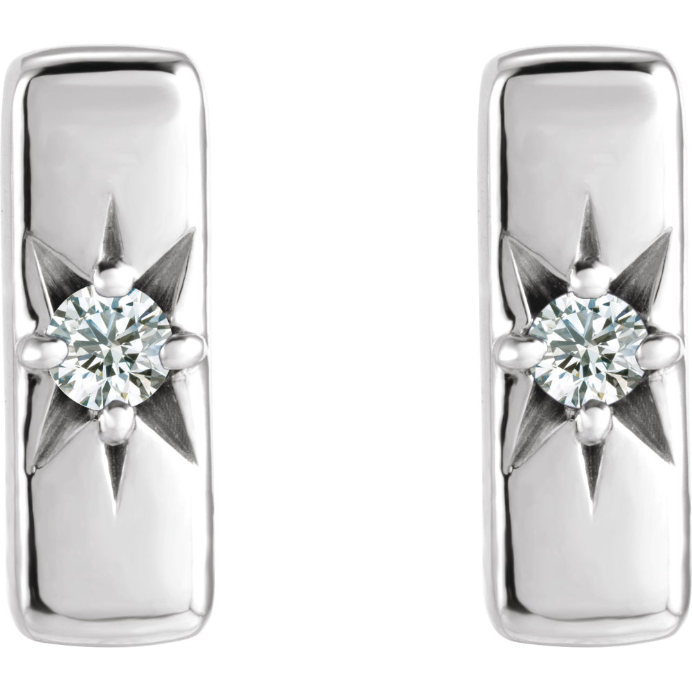 Accented Bar Earrings