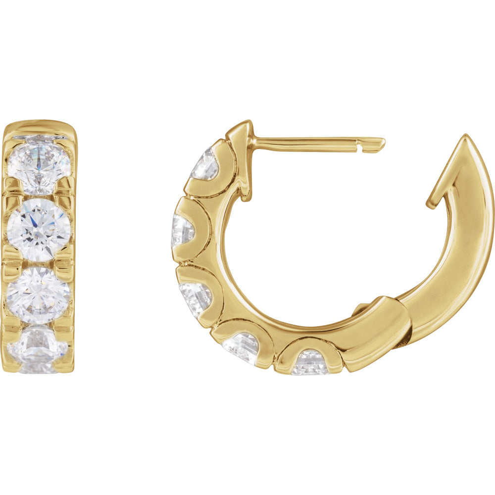 Accented Hinged Hoop Earrings
