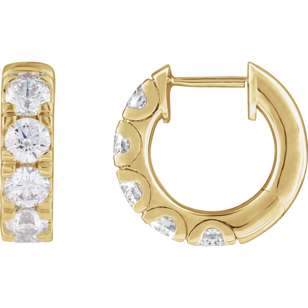 Accented Hinged Hoop Earrings