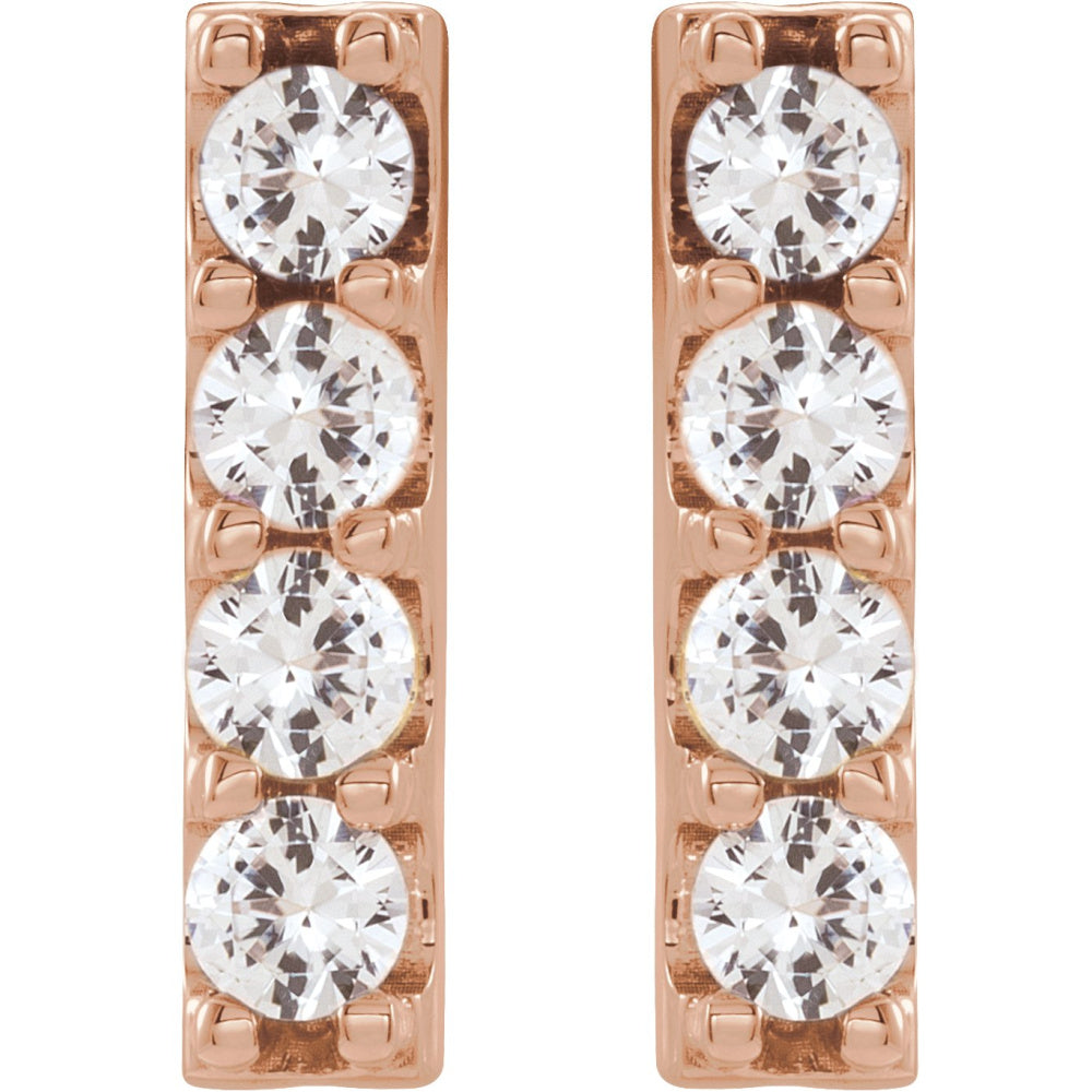 Accented Bar Earrings